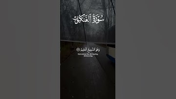 الَّذِينَ صَبَرُوا وَعَلَىٰ رَبِّهِمْ يَتَوَكَّلُونَ|سورة العنكبوت|عبد الرحمن مسعد|راحه نفسيه 😴♥️🌿