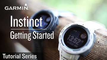Tutorial - Instinct: Getting Started