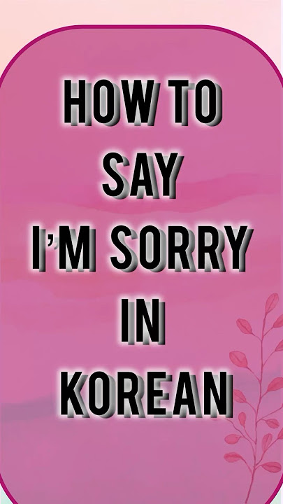 How to say I’m sorry in Korean.. 4types of sorry in Korean language..#learnkoreanwithme