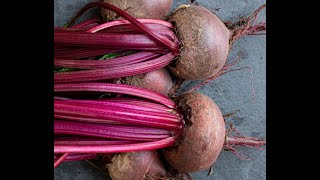 Beets 101 - Food & Flavor Combos Using Beets