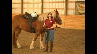 Translating the 5 FUNDAMENTALS Under Saddle for a SAFER Horse Ride
