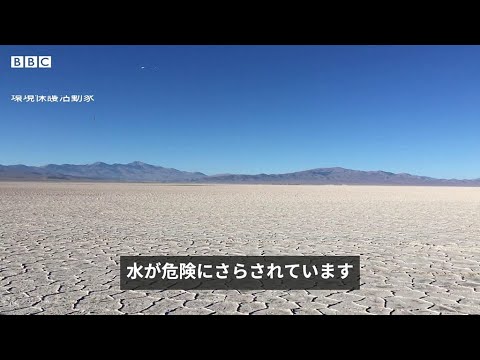 電気自動車　リチウム採掘の現状  あなたが思うほど環境に優しい？