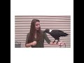 “This Crow Talks Like a Human – Must See!”