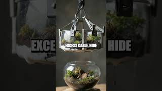 DIY Floating LED Plant Terrarium Lamp