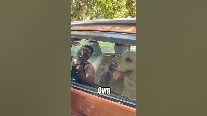 He Locked His Dog in the Car… What He Did Next Proves He’s the Kindest Man Alive 💔❤️ #shorts
