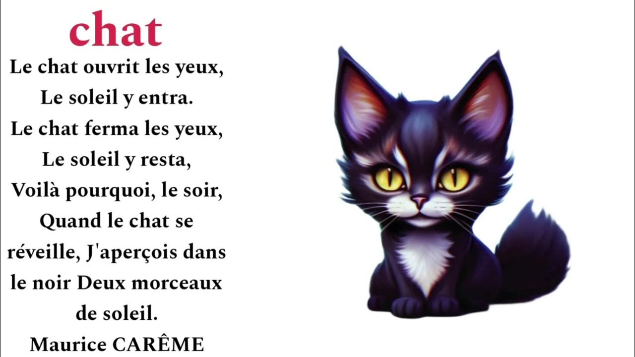 Poésie Le Chat De Sa Fourrure Blonde Et Brune www.youtube.com