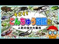 【昆虫図鑑】動画で覚える！こんちゅうの名前と特徴➁〈カブトムシ、アリ、ホタル、オンブバッタ、カタツムリ、チョウ〉【幼児向け 子ども向け】 日本語 bug Japanese