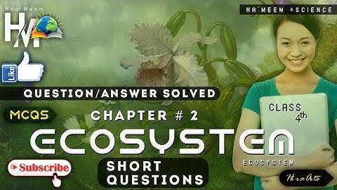 Class 4 Chapter 2 "Ecosystem"/Questions Answers Solved/All short questions answers solved