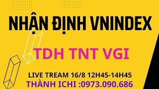 Cổ phiếu tiềm năng TDH TNT VGI HDC  |Nhận định Vnindex phiên 16/8| Dòng bất động sản  VIC trụ đỡ.