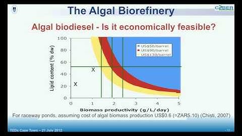 Integrating bioprocesses: Sue Harrison at TEDxCapeTown