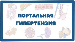 Портальная Гипертензия - симптомы, причины, лечение (Osmosis)