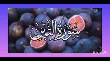 سورة التين بصوت القارئ اسلام صبحي صوت يريح القلب