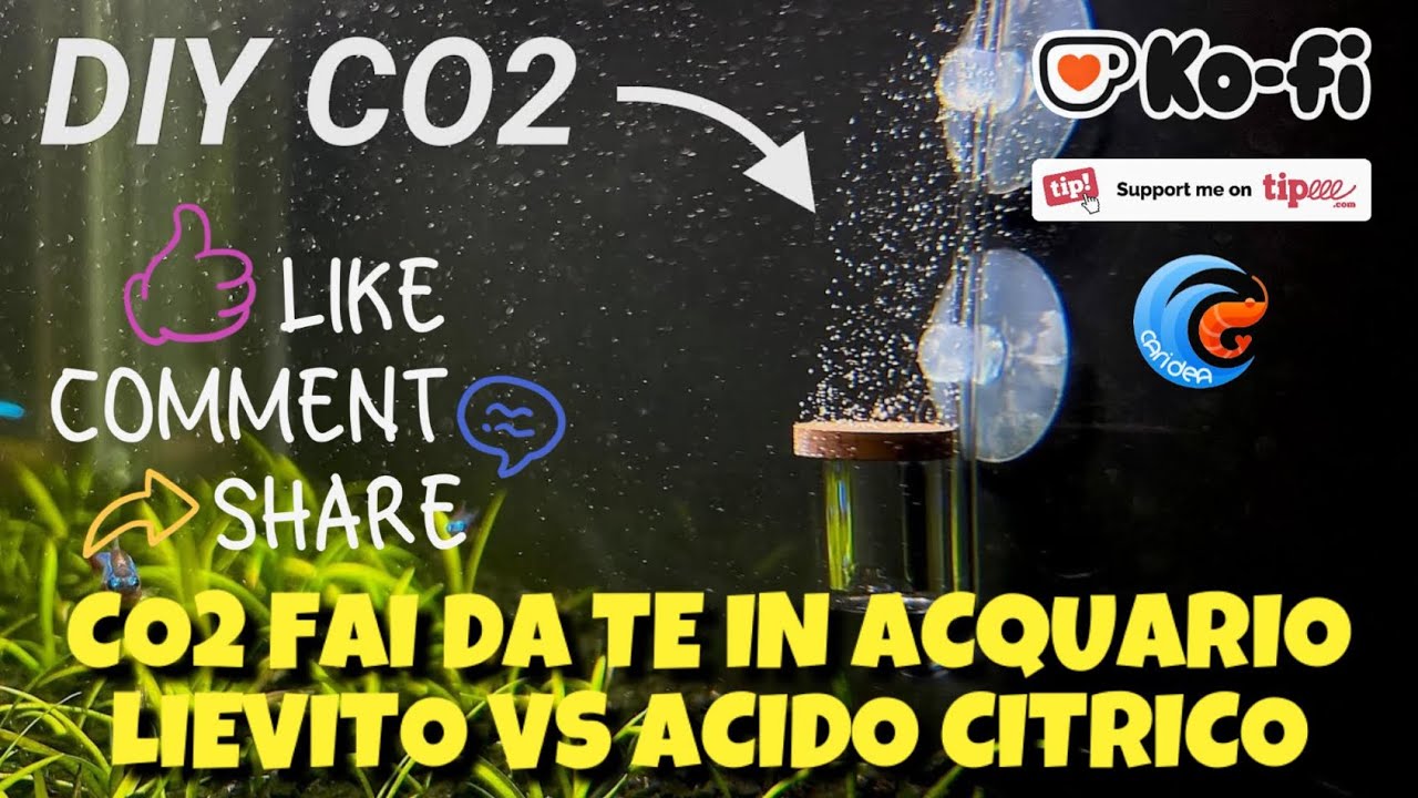 DIY CO2 - CO2 FAI DA TE IN ACQUARIO - LIEVITO CONTRO ACIDO CITRICO - METODI A CONFRONTO - COME FARE