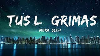 Mora, Sech - TUS LÁGRIMAS |15min