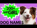 Top 200 unique female dog names  girl dog names