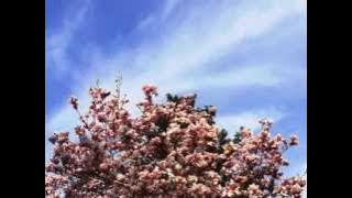 Andrea Bocelli  Cuando Me Enamoro  With Italian / Spanish Lyrics