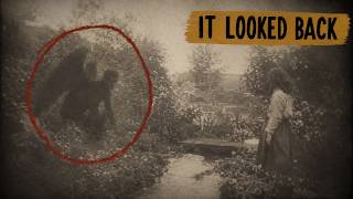 The Winged Figure Was Looking Back — The Cottingley Photo Nobody Could Fully Debunk (1917)
