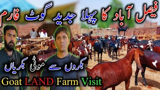 First Ever Visit To Goat Land Farm 2 - Modern Goat Farming In Pakistan - Goat Land Farm