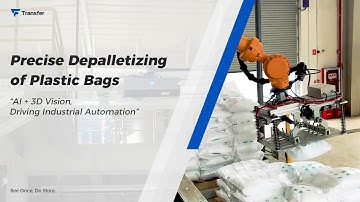 Robot Vision for Automated Bag Depalletizing | 3D Vision | Automation | Robotics | AI | Innovation