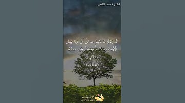 آية ٨-٩ من سورة الرعد