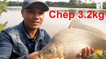 Câu Cá Chép Hồ Dịch Vụ, Những Bài Học Đầu Đời Trong Bộ Môn Câu Đài