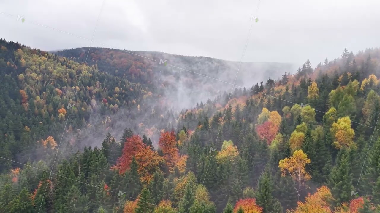 gentle hills and clouds conceal vibrant flora, calm valley surrounded by misty ridges and lush trees