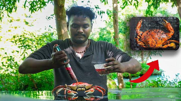 INFUSED MUD CRAB🦀 | KING CRAB COOKING BBQ 🤤#asmr #gramophonevillage