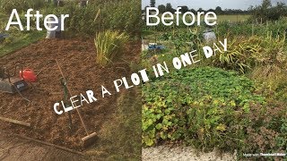 How To Clear An Allotment In One Day (Davids Plot) Net Worth