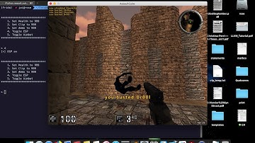 Memory exploration with Frida - ESP hack Assault Cube