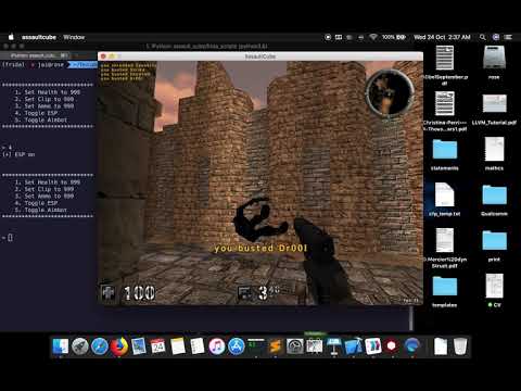 Memory exploration with Frida - ESP hack Assault Cube