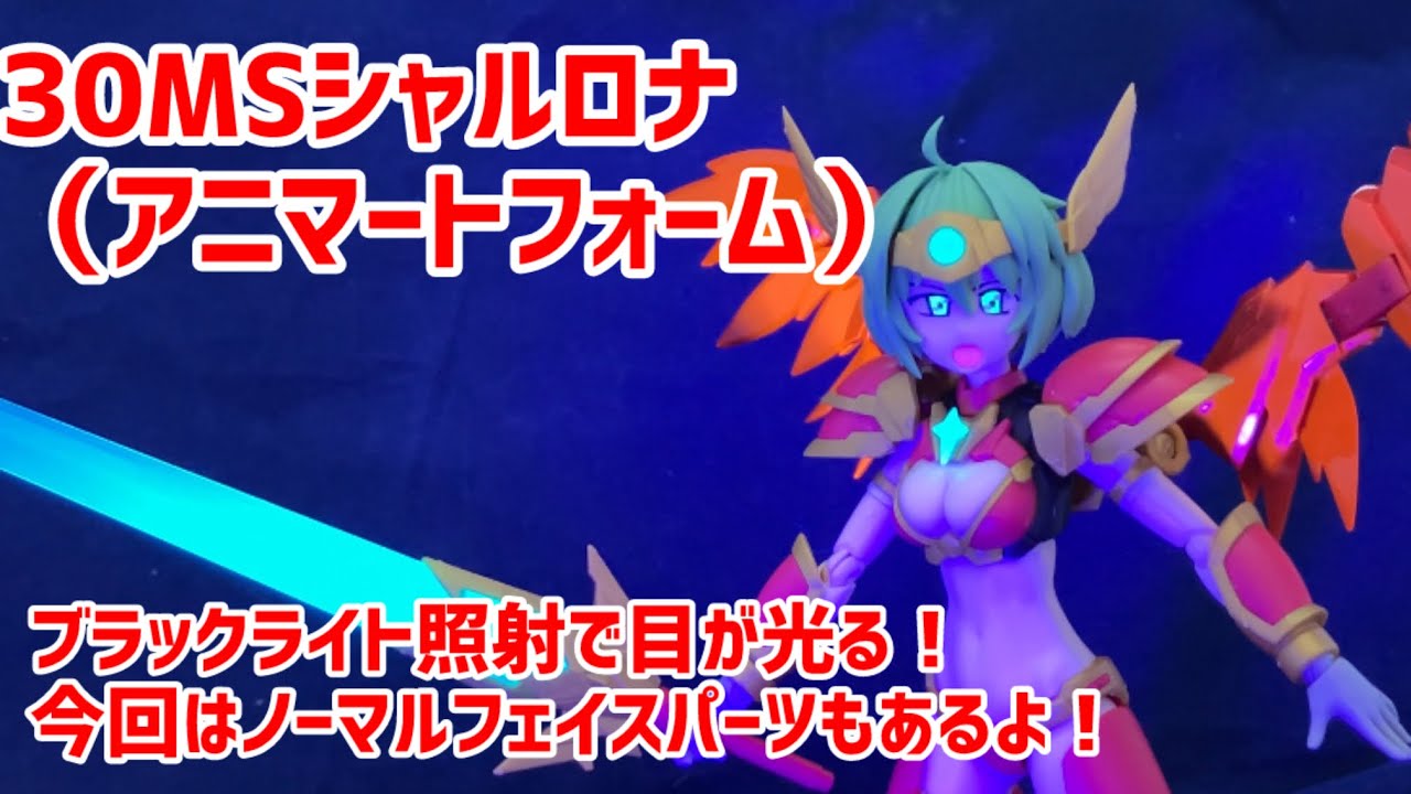 ホ*ン様 【キャンディラップ塗装】30MS シャルロナ（アニマートフォーム）全塗 30MS シャルロナ(アニマートフォーム) | 30 MINUTES SISTERS