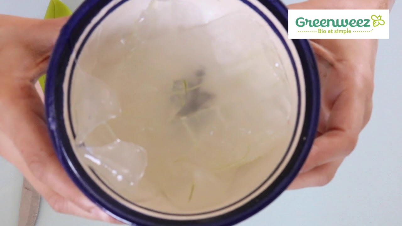Faire son gel d'Aloé Vera (tuto)
