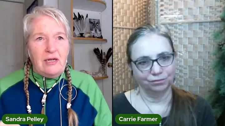 Interview with  Carrie Farmer