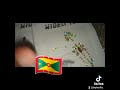 Facial stickers #everythingmustgosale #reelsviral #473music #carnivalseason