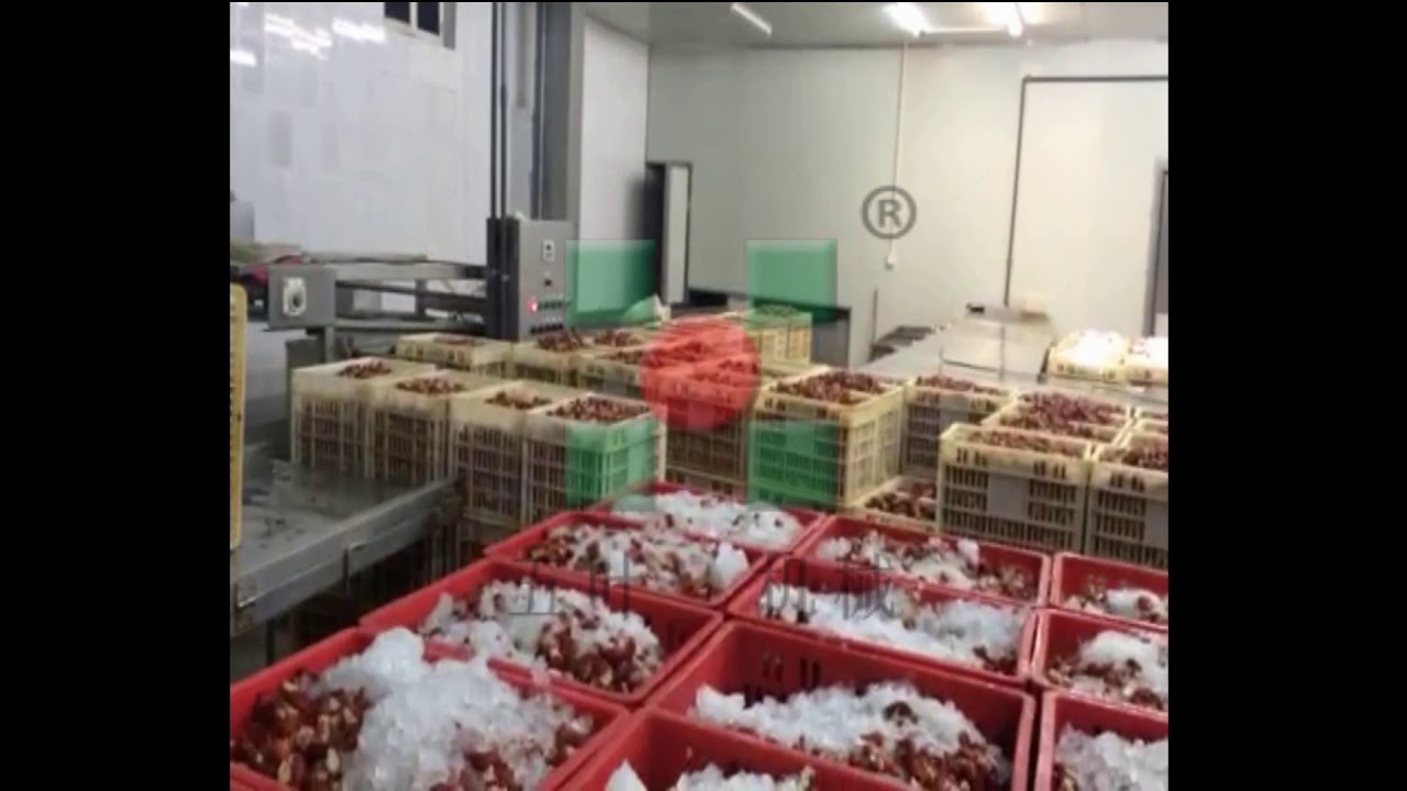 Lobster freezing processing machine/frozen lobster equipment/lobster washing cooking machine