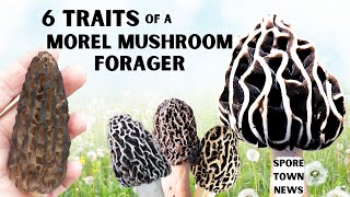 Successful Morel Mushroom Forager Traits  Tips for this season