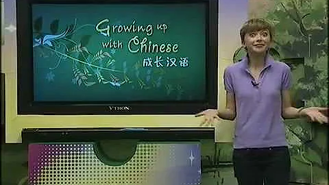 Growing up with chinese - Lesson 43/100 - Entertaining Visitors - DayDayNews