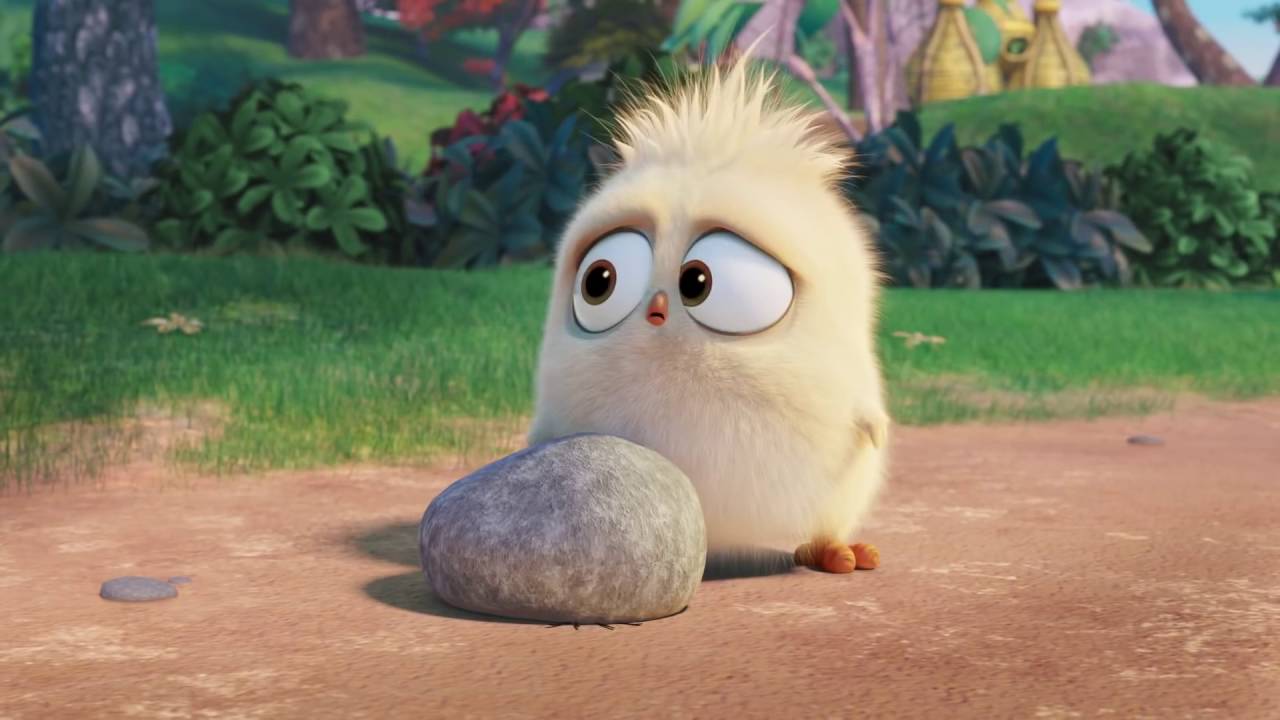 The Angry Birds Movie The Early Hatchling