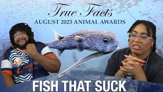 True Facts: Fish That Suck | ZeFrank Reaction ft. Chavezz