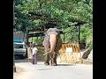 ගජරජ කන්ඩුල
