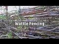 Grow/Build A Free Fence! | DIY Woven Branch Design | Wattle Fence Grow/Build A Free Fence! | DIY Woven Branch Design | Wattle Fence