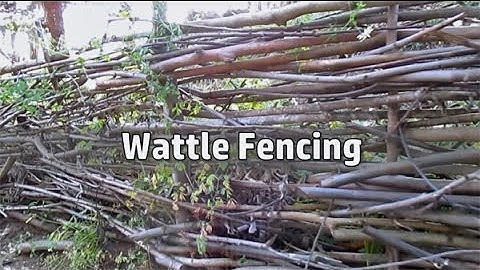 Grow/Build A Free Fence! | DIY Woven Branch Design | Wattle Fence