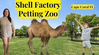 Henry visits Shell Factory petting zoo