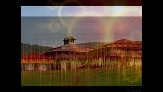 Sirba Raayyaa Abbaa Maccaa durii Maal hammanni osootorbee taatee wal arganii