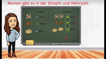 Was ist die Mehrzahl von dem Wort Mehrzahl?