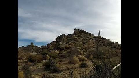 Joshua Tree Part One
