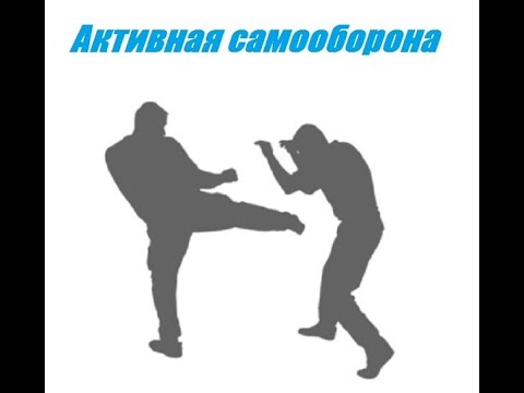 Фрагменты Курса "Активная самооборона". Стратегия и тактика гражданской самообороны.