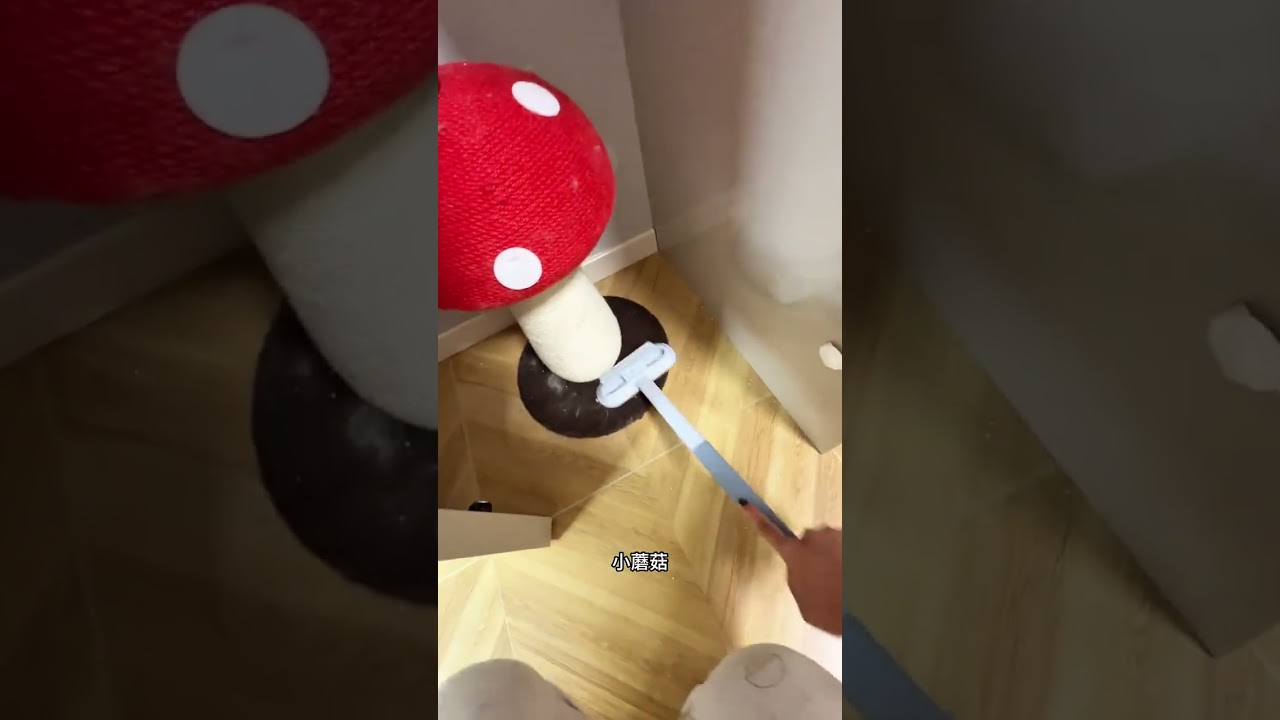 The Vlog video is 2.21. I didn t expect that they weren t excited at all after half a mont