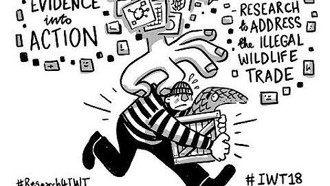 Evidence to Action Synopsis_#Research4IWT