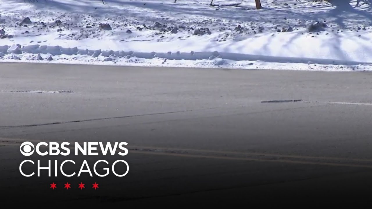 Driver held in custody in crash that killed Glenview, Illinois police ...